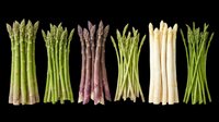 Assorted fresh asparagus bundles in green, white, and purple varieties isolated on transparent background. Ready for culinary design, recipe graphics, food packaging, print-on-demand products, and digital food illustrations.