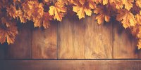 Golden autumn maple leaves frame rustic wooden background, creating seasonal border for harvest, Thanksgiving, or fall-themed designs.