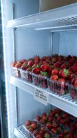 Fresh organic strawberries stored in commercial refrigerator display case for retail grocery store produce section and healthy food storage.