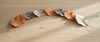 Autumn leaves arranged in curved line on wooden surface creating natural seasonal decoration for fall crafts and home decor projects.