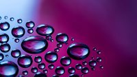 Water droplets of varying sizes clustered together on a gradient surface transitioning from blue to magenta, creating a fresh, liquid effect for cosmetics, skincare, and wellness product marketing.