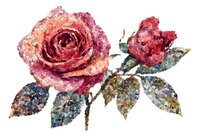 Red rose with buds and foliage rendered in watercolor texture on white background, isolated for design projects, greeting cards, and botanical illustrations.
