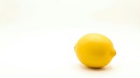 Fresh yellow lemon fruit isolated on white background for healthy cooking and citrus recipes.
