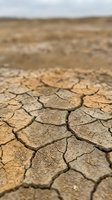 Cracked, parched earth with deep fissures stretches across an arid landscape under overcast skies, depicting severe drought conditions and environmental degradation for climate change awareness.