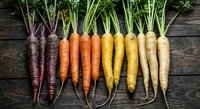 Fresh organic heirloom carrots in rainbow colors from purple to white arranged on rustic wooden background for healthy cooking and farm-to-table cuisine.