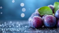 Fresh ripe purple grapes with water drops and morning dew on dark background with bokeh lights, macro food photography with selective focus.