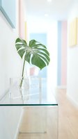 Monstera leaf in a glass vase on a transparent table in a bright pastel hallway interior with soft bokeh background.