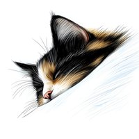 Sleeping calico cat face drawn in soft artistic style on white background, showing whiskers and fur details. Isolated design element for pet-themed projects.