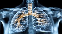 Anatomical visualization of human lungs and bronchi with glowing effect on black background, medical science concept showing respiratory system structure.