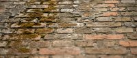 Old weathered brick pavement with moss growing between stones creating rustic textured surface for vintage architectural backgrounds.