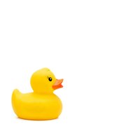 Yellow rubber duck toy isolated on white background for bath time play and childhood memories.