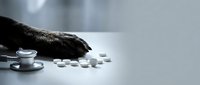 Elderly hands reaching for scattered white pills near coffee cup on table depicting medication management and healthcare challenges for seniors.