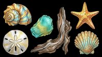 Watercolor sea life clipart set with shells, starfish, driftwood, and sand dollar, isolated on transparent background. Great for stickers, T-shirts, and print on demand.