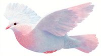 Pastel-colored dove with soft pink and blue gradient plumage, white crest, and delicate wings spread in flight.