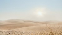 Young woman with light skin tone, wearing casual autumn clothing, standing in golden wheat field during harvest season, suitable for agricultural, lifestyle, and seasonal marketing campaigns.