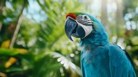 Blue and gold macaw close-up portrait in natural tropical setting with blurred green foliage background, showing detailed feathers and curved beak.