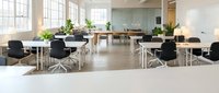 Modern open office workspace with white desks, black ergonomic chairs and green plants creating collaborative environment for business meetings and teamwork.