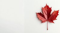 Single red maple leaf on white background, detailed natural texture and veins visible, isolated object for autumn seasonal designs and Canadian themes.
