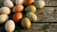 Fresh farm eggs in various natural colors scattered on rustic wooden planks showcasing organic poultry diversity for cooking and baking applications.