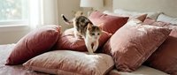 Playful dog lying on bed surrounded by decorative pillows in shades of rose and burgundy, enjoying comfortable home interior setting.