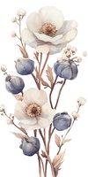 Delicate watercolor arrangement of white anemone flowers and blue seed pods in soft neutral tones, creating an elegant botanical composition on white background.
