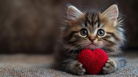 Adorable fluffy kitten holding red knitted heart, Valentine's Day love concept for greeting cards, pet adoption campaigns, romantic holiday decorations.