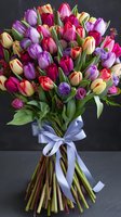 Vibrant spring bouquet with colorful tulips, purple allium flowers and roses tied with light blue satin ribbon on dark background. Fresh floral arrangement for celebrations.