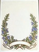 Botanical frame with lavender sprigs and blank ribbon banner on cream background, isolated for invitations, labels, and design projects.