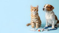 Orange tabby kitten and beagle dog sitting together with scattered pills and stethoscope on blue background for veterinary healthcare concepts.