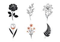 Isolated botanical line art and silhouette illustrations featuring rose, lily, tulip, wildflowers and fern. Ready for design use on apparel, stickers and graphics.