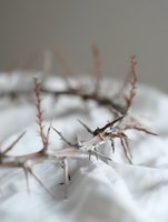 Macro shot of sharp thorny branches with dramatic shadows on white fabric creating abstract minimalist composition with selective focus and soft bokeh effect.