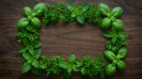 Fresh green herbs frame border on rustic wooden background with basil parsley mint leaves arranged in rectangle shape for culinary cooking design.