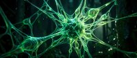 Glowing green neuron cell with intricate web-like connections on dark background, depicting neural network and brain activity concept.