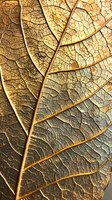 Extreme macro shot of dried autumn leaf showing intricate vein patterns and textured surface in golden brown tones, highlighting natural organic structure.