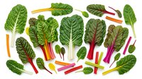 Fresh rainbow chard leaves with colorful stems isolated on white background. Organic leafy greens for healthy cooking and nutrition concepts.
