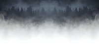 Atmospheric misty forest landscape with silhouettes of pine trees in dense fog creating moody mysterious ambiance. Dark and ethereal nature background for design projects.