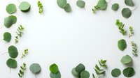 Fresh eucalyptus leaves and branches arranged in circular border frame on white background, isolated flat lay composition for wellness and spa design.