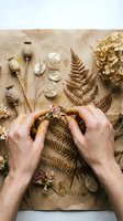 Hands arranging dried botanical specimens including fern leaves, seed pods, and hydrangea flowers on kraft paper for floral design and craft projects.