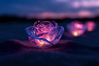 Glowing crystal rose illuminated in pink and blue hues against dark beach sand at twilight, creating magical atmosphere with bokeh lights in background.