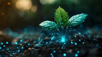Young green plant sprout growing from soil with glowing blue light effects and bokeh background, representing growth, innovation and environmental technology.