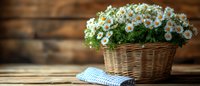 Fresh white daisies in woven wicker basket on rustic wooden table with blue checkered napkin, natural spring garden arrangement for home decor and celebrations.