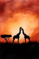 Silhouettes of two giraffes touching necks against dramatic orange sunset sky with acacia tree in African savanna landscape. Romantic wildlife scene at dusk.