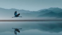 Majestic bird soaring over tranquil mountain lake with perfect reflection in calm water during misty dawn creating serene wilderness landscape scene.
