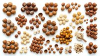 Assorted nuts and legumes arranged in clusters on white background, including hazelnuts, macadamia nuts, chickpeas, and peanuts in various sizes and shades for culinary and nutritional content.