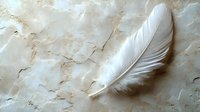 Delicate white feather resting on textured beige marble surface creates ethereal composition with soft shadows and natural lighting for spiritual or wellness designs.