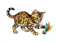 Bengal kitten playing with colorful feather toy, isolated on white background, ready for design use on apparel, stickers, and print materials.
