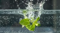 Fresh mint leaves splashing into clear water creating dynamic crown splash with bubbles against dark background for beverage and culinary concepts.