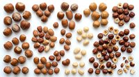 Assorted nuts collection including hazelnuts, almonds, walnuts and cashews arranged in groups on white background for healthy snacking and cooking recipes.