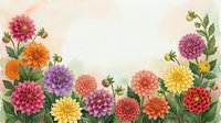 Colorful dahlia flowers border frame with vibrant blooms in pink, orange, purple, yellow and coral creating decorative floral arrangement on light background.