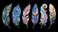 Colorful feathers isolated on transparent background, ready for t-shirt design, clipart, stickers, sublimation and print-on-demand projects.